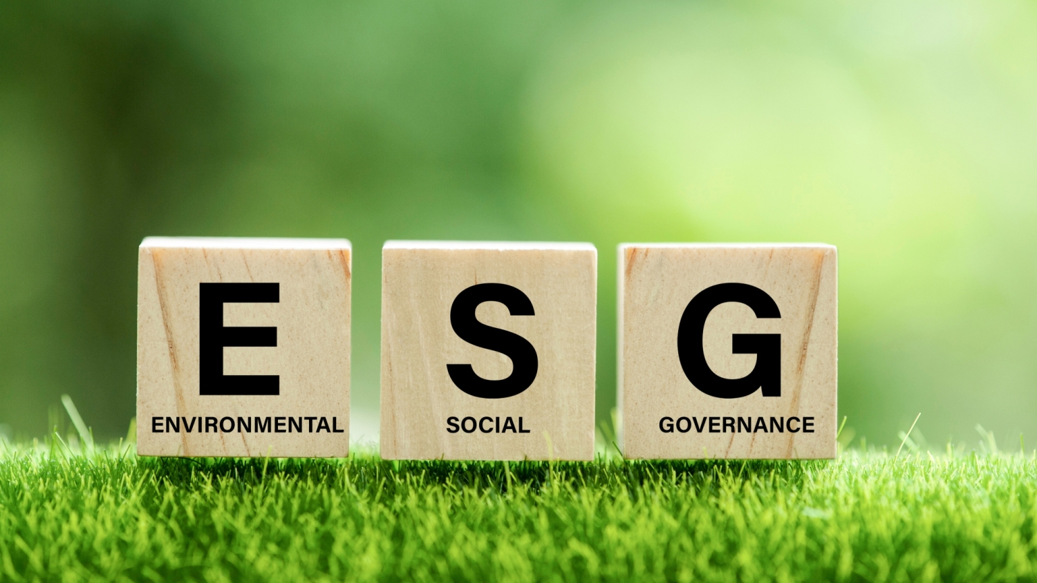 ESG logo Safer Sustainability: Mitigating Today’s Escalating ESG Risks