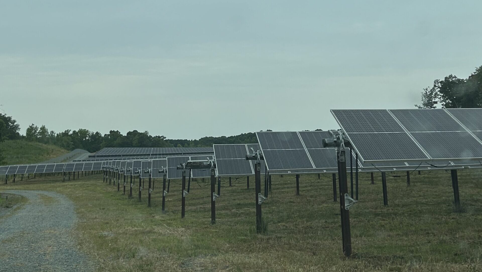 solar panels at Deriva Energy